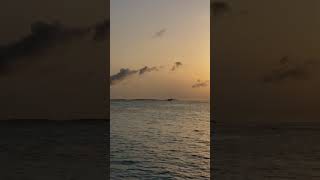 Sunrise TakeOff Early Morning Trans Maldivian Seaplane Departs from Le Méridien MaldivesJuly 2024 [upl. by Acnayb]