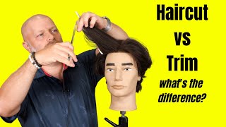 Haircut vs Trim  TheSalonGuy [upl. by Atiuqihs831]