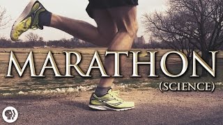 The Science of Marathon Running [upl. by Armillda]