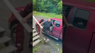 Crazy Rooster Attacks Man When he Tries to Get Out of his Vehicle  1215119 [upl. by Deck]