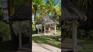 🇩🇴 Catalonia Bavaro Beach Punta Cana Dominican Rep 🌴shortsvideo shorts shortvideo travel [upl. by Doownel629]