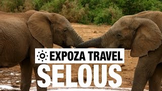 Selous Game Reserve Vacation Travel Video Guide [upl. by Arraet]