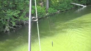 Big Bass Break Rods KeeP ReeLing [upl. by Tarsus]