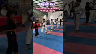 Wooden Board Breaking with Chopping  Cambodia Hapkido champion highjump hapkido selfdefense [upl. by Aicrop]