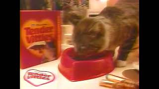 Purina Tender Vittles Cat Food Commercial 1984 [upl. by Yahsat282]