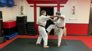 Kusanku Bunkai Check us out on Udemy [upl. by Yknarf]