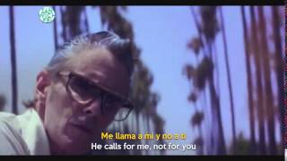 Lana Del Rey  Shades Of Cool Sub Español  Ingles [upl. by Juakn]