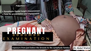 EXAMINATION OF PREGNANT ABDOMEN WITH EXPLANATION leopold maneuver pregnancy pregnant abdomen [upl. by Anjela]