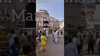 Shri Kashi Vishwanath Mandirs entrance gate [upl. by Areta266]