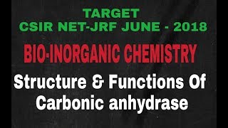 Lecture  6 ll BioInorganic Chemistry ll Structure amp Functions Of Carbonic anhydrase [upl. by Artaed]