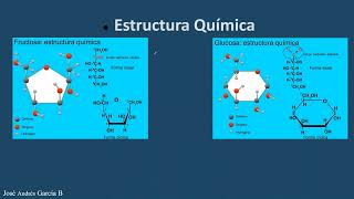 2 Estructura celular [upl. by Cavanagh]