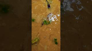 Lentil Soup lentilsoup daal soup subscribeformore bengalifood healthyeating yummy nj usa [upl. by Wolpert446]