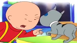 Caillou en Español  Caillou y el Pequeño Gatito  Dibujos animados para niños  Dibujos Infantiles [upl. by Aryahay]