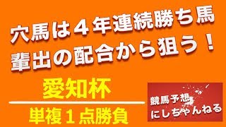 【愛知杯 2019】単複１点勝負 愛知杯 競馬予想 [upl. by Ahtnams]