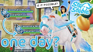 MAX YOUR HORSE In ONE DAY  Star Stable [upl. by Aitercul786]