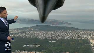 Bird photobombs weather report  KTVU [upl. by Devaney]