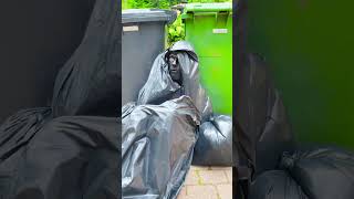 Epic Trash Can Prank 🤣 funny comedy prank [upl. by Andersen]