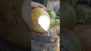 Gow to crack yong coconut coconut shortsviral satisfying pemula asmr fyp [upl. by Lleddaw]