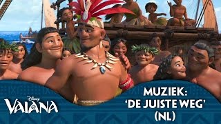 Disney Vaiana  Muziek De Juiste Weg NL gesproken [upl. by Yantruoc]