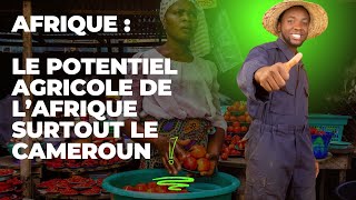 Afrique l´Afrique à un potentiel agricole énorme surtout le cameroun [upl. by Yasui]