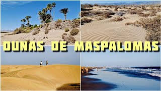 Dunas de Maspalomas  Nature Reserve amp Worlds Biggest Gay Cruising Zone 🏖️ Gran Canaria MustVisit [upl. by Fatima342]