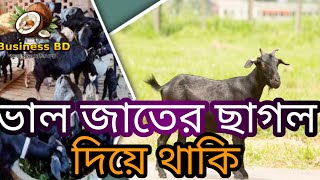 ১০ টি ছাগল পালনে বছরে আয় করুন ৪ লক্ষ টাকা। কিভাবে Goat farm [upl. by Retswerb]