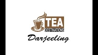 Tea Destinations Darjeeling  Teaser  Amos Entertainment  North Bengal tea gardens [upl. by Zsa]