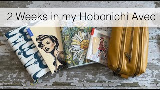 2 Weeks in the Hobonichi Avec [upl. by Neira53]