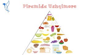 Piramida Ushqimore [upl. by Haiacim]