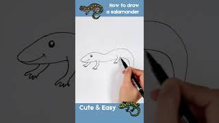 How to Draw a Salamander – Easy StepbyStep Guide drawingtutorial salamander [upl. by Seth]