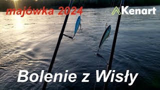 Majówka 24 Bolenie z Wisły Lepszy kenart master czy flash [upl. by Timoteo]