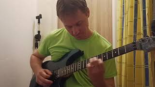 Steve Vai  Brandos Costumes  Gentle Ways  cover [upl. by Kohl]