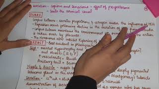 Physiological changes during pregnencypart 1obstetricsobgyDrSCGMC Nandedfinal year MBBS [upl. by Osnofedli]