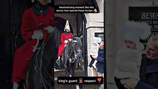 heartwarming moment like this shows how special these horses 🐴viralvideo shorts [upl. by Enidanreb551]