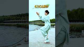 左蹬脚 42式太极拳 taichi 太极 太極拳 taichiquan kungfu taiji taijiquan 功夫 武術 wushu martialarts 詠 [upl. by Ahtrim]