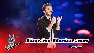 Simão Quintans  quotPerfectquot  Gala  The Voice Portugal [upl. by Redlac520]