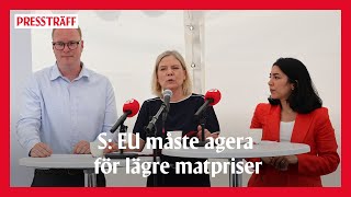 Socialdemokraterna EU måste agera för lägre matpriser [upl. by Ahab]