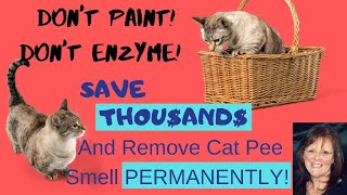 How to Eliminate Cat Urine Smell Permanently and Never Use Paint Again [upl. by Eihcra]