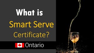 Smart Serve Ontario 2023 A Comprehensive Guide with Career Options [upl. by Fanning]