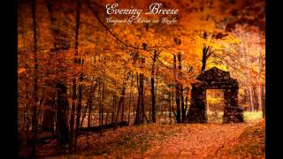 Relaxing Celtic Music  Evening Breeze [upl. by Woodman]