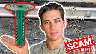 The Biggest SCAM in Pest Control  Termite Bait Stations [upl. by Assyli]