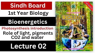 photosynthesis introduction  role of light pigments CO2 and water  bioenergetics  class 11 [upl. by Wasson]