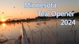 Minnesota Teal Opener [upl. by Cleveland997]