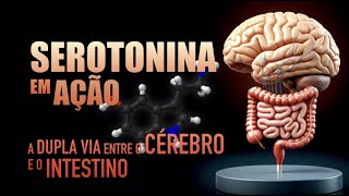 Serotonina o que você precisa saber sobre ela [upl. by Krebs]