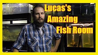 LRBretzs Aquatics Fish Room Tour Part 2  Rainbowfish Livebearers Ponds Planted tanks Shrimp [upl. by Aneala696]