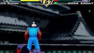 Mugen  Ice Gouki Vs Boss Sagat [upl. by Vez945]