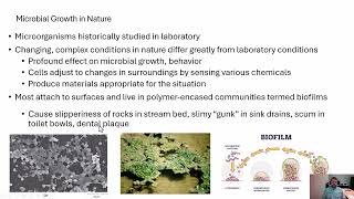 Microbiology Natural Population Growth [upl. by Leis699]