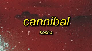 1 Hour  Kesha  Cannibal Lyrics whenever you tell me im pretty [upl. by Ttesil]