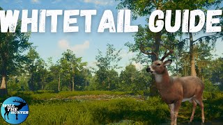 Mississippi Acres Whitetail Deer Guide TheHunter Call Of The Wild 2023 [upl. by Lednic852]