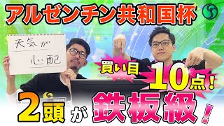 【アルゼンチン共和国杯2024最終予想】AIは2頭に鉄板級の評価！ 伏兵にも印を打ち買い目は10点を推奨 （SPAIA編） [upl. by Morna]